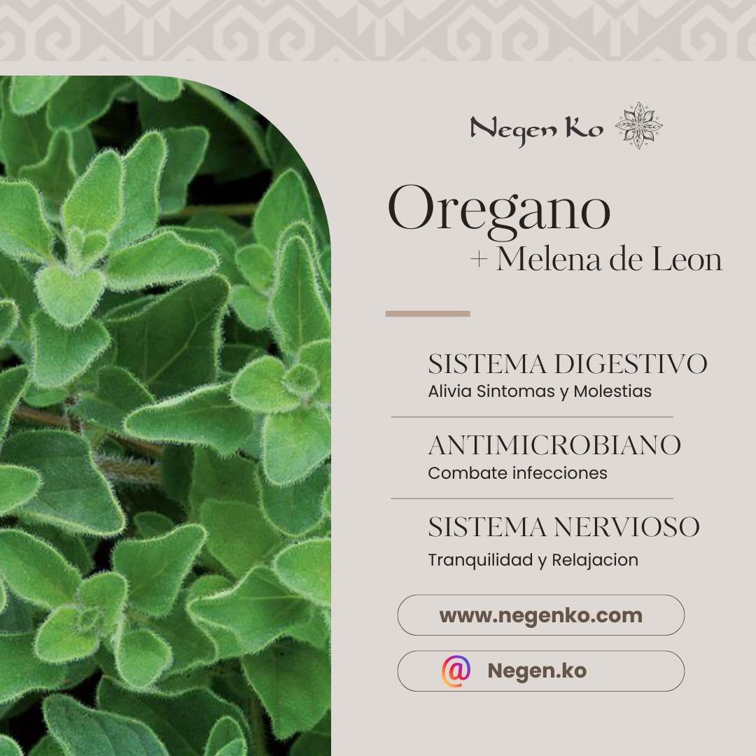 Extractos Hongos adaptogenos Destilado de Oregano + Melena de leon 30 ml